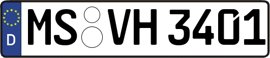 MS-VH3401