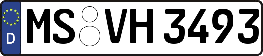 MS-VH3493