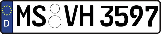 MS-VH3597