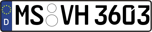 MS-VH3603