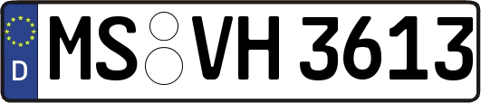MS-VH3613