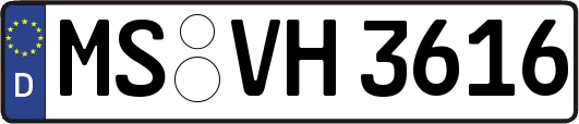 MS-VH3616