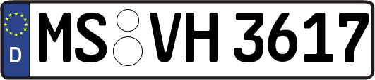 MS-VH3617