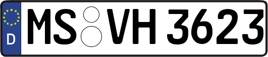 MS-VH3623