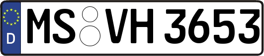 MS-VH3653