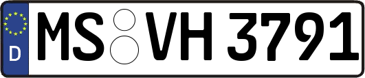 MS-VH3791