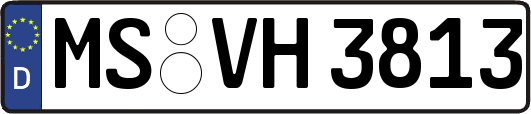 MS-VH3813