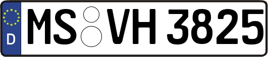 MS-VH3825