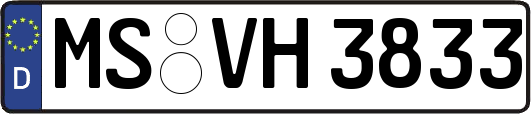 MS-VH3833