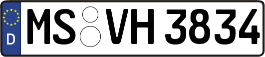 MS-VH3834