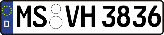 MS-VH3836