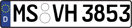 MS-VH3853
