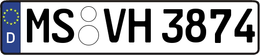 MS-VH3874