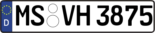 MS-VH3875