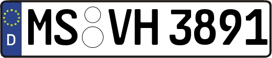 MS-VH3891