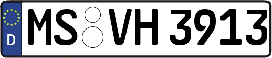 MS-VH3913