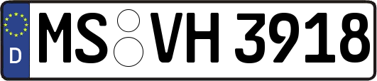 MS-VH3918