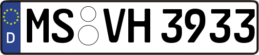 MS-VH3933