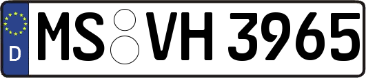 MS-VH3965