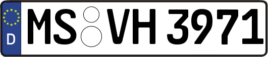 MS-VH3971