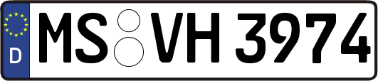 MS-VH3974