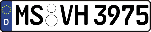 MS-VH3975
