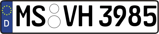 MS-VH3985