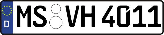 MS-VH4011