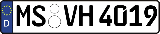 MS-VH4019