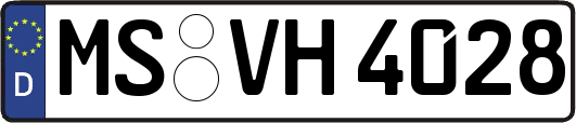 MS-VH4028
