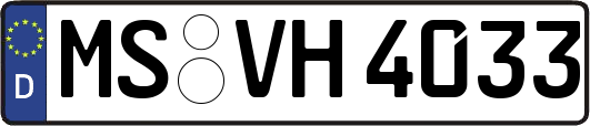 MS-VH4033