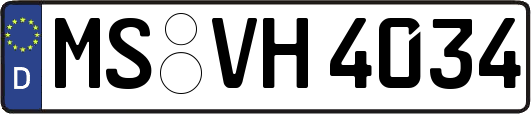 MS-VH4034