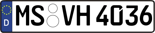 MS-VH4036