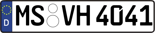 MS-VH4041