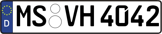 MS-VH4042