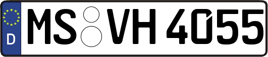MS-VH4055