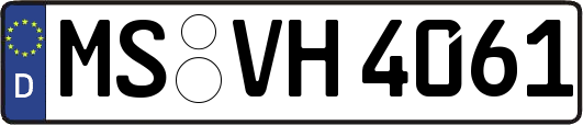 MS-VH4061