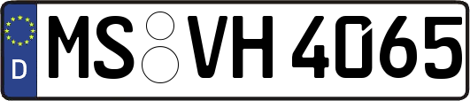 MS-VH4065