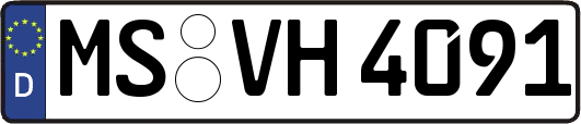 MS-VH4091