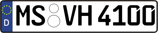 MS-VH4100