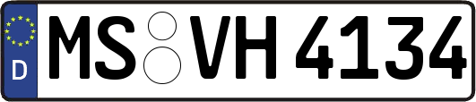 MS-VH4134
