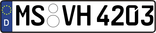 MS-VH4203