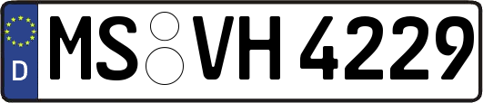MS-VH4229
