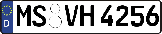 MS-VH4256
