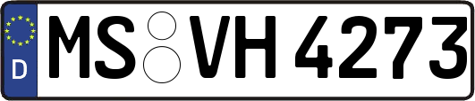 MS-VH4273