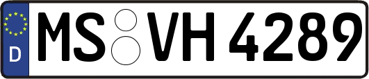 MS-VH4289