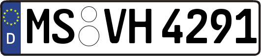 MS-VH4291