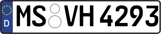 MS-VH4293