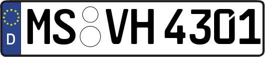 MS-VH4301