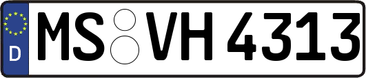 MS-VH4313